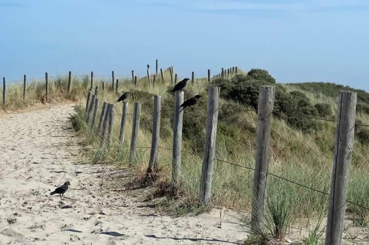 Me Oissie Villa Egmond aan Zee Exterior photo